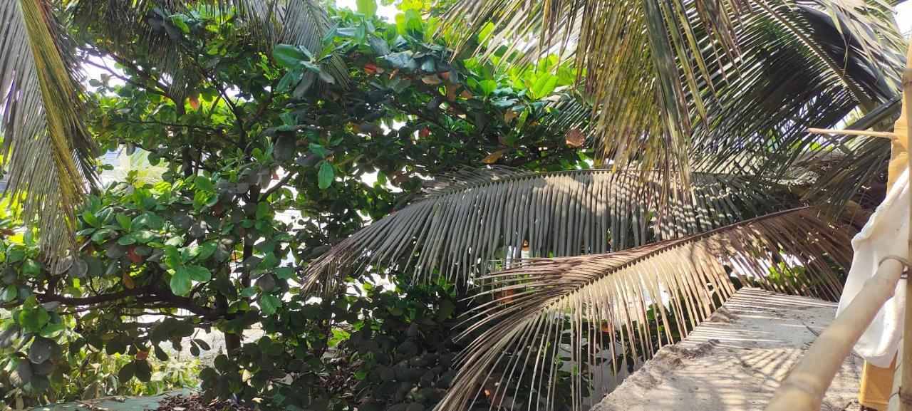 Est Hem Guesthouse Arambol Exterior photo